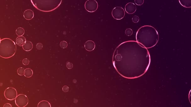 Bulles d'air flottant sous l'eau transparente sur fond rose rouge. — Video