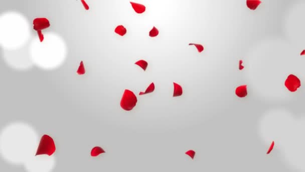 Abstrakter Hintergrund Fliegende rote Rosenblätter Realistische 3D Animation Green Screen Loop. — Stockvideo
