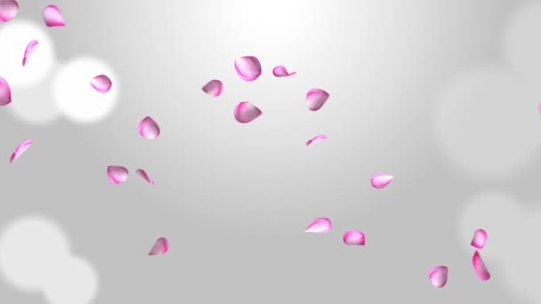 Bloemen bloemblaadjes vallen Loop achtergrond groen scherm animatie. — Stockvideo