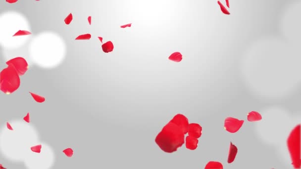 Les pétales de Sakura tombent. Romantique rose rouge fleurs chute pluie boucle fond vert écran. — Video
