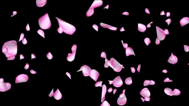 Fiori petali che cadono Loop sfondo Schermo verde Animazione. — Video Stock