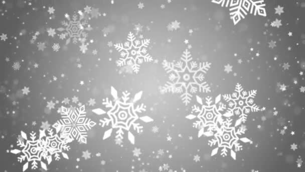Flocos de neve em diferentes formas e formas. Muitos elementos de floco frio branco no fundo do laço. — Vídeo de Stock