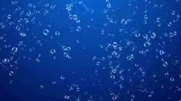 Abstracto Agua espumosa en las burbujas de vidrio subiendo 4K 3D Green Screen loop Animación — Vídeos de Stock