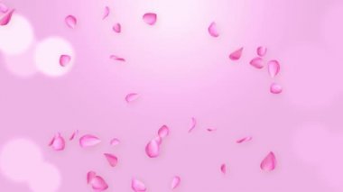 Düşen ve dönen pembe gül yaprakları çiçek açarlar. bahar Döngüsü Canlandırması Yeşil Ekran.