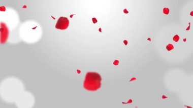 Beyaz Romantik Döngü Yeşil Ekran 'da Taze Gül yaprakları havada süzülüyor.