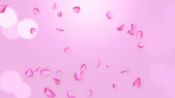 분홍빛 장미 꽃잎이 펄럭거리며 피어 오르고 있다. 스프링 루프 애니메이션그린 스크린. — 비디오