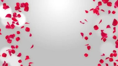 Yeşil Ekran Düşen Yapraklar romantik, sevgililer günü kartı, 4k döngü Arkaplanı. Yeşil Ekran.