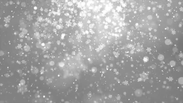 Fond naturel de boucle de Noël d'hiver avec chutes de neige blanches, flocons de neige de différentes formes — Video