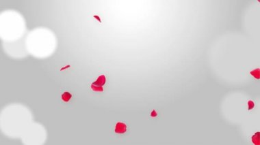 Pembe sakura Düşen Yapraklar Döngüsü Arkaplan 3B Yeşil Ekran.