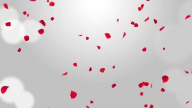 Ayrılmış Pembe Kiraz Çiçeği Gül Yaprakları Düşen Yeşil Ekran.