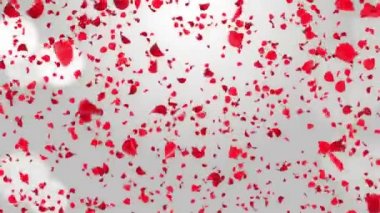 Gerçekçi Soyut Gül Düşen Hareket Döngüsü Yeşil Ekran.