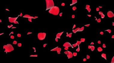 Soyut Arkaplan Uçan Kırmızı Gül Yaprakları Gerçekçi 3D Animasyon Yeşil Ekran Döngüsü.