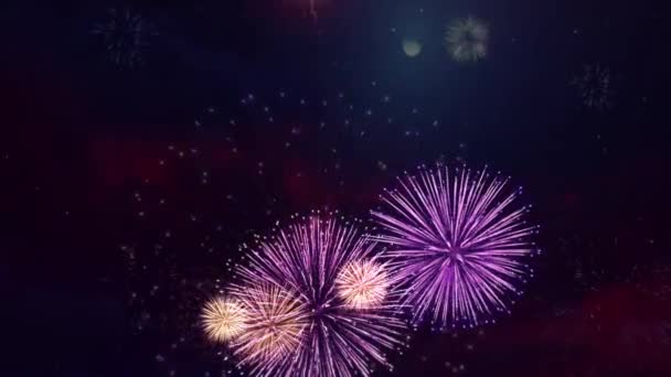 ดอกไม้ไฟจริง 4k บนพื้นหลังสีดํา วงกลมท้องฟ้าในงานเทศกาลดอกไม้ไฟในอนาคต — วีดีโอสต็อก