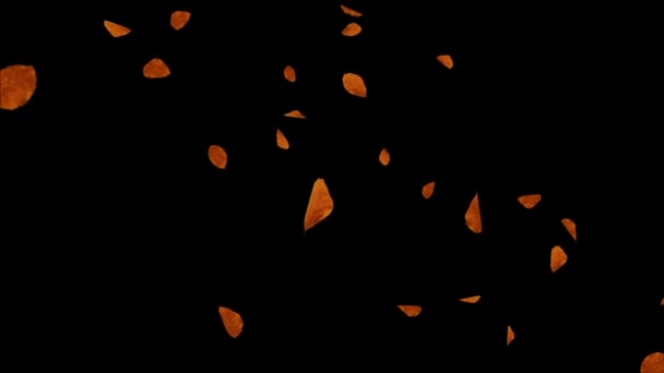 Chute automne jaune feuilles au ralenti, isolé sur canal alpha Boucle de fond 3D 4K Aniamtion — Video