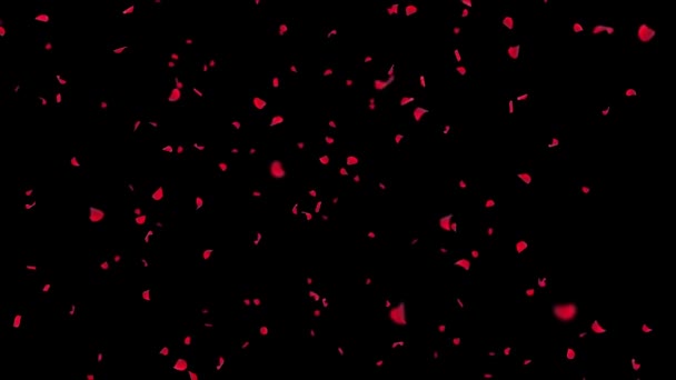 Realistisk Abstrakt Rose fallande rörelse Loop bakgrund Grön skärm. — Stockvideo