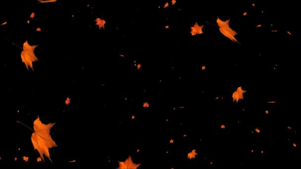 Sebuah musim gugur bersalju daun Jatuh ke tanah. daun musim gugur latar belakang loop kanal Alpha — Stok Video