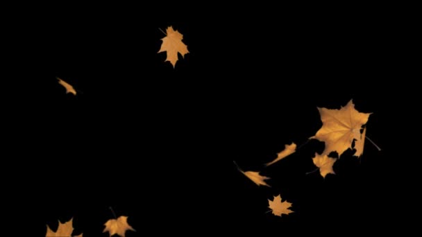 Барвистий абстрактний клен листя Падіння листя гойдається на аутумному фоні анімації петля. — стокове відео