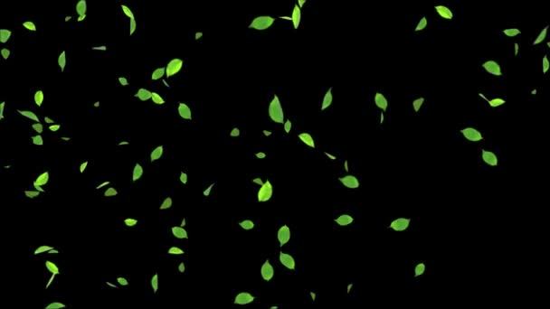 Hojas verdes Volar realista 3D Alfa canal bucle Animación de fondo de cámara lenta. — Vídeo de stock