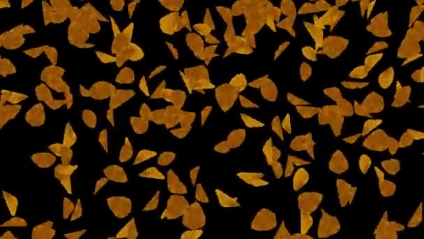 4K Abstract Autumn Maple background leaf and particle light fall loop background Alpha — 비디오