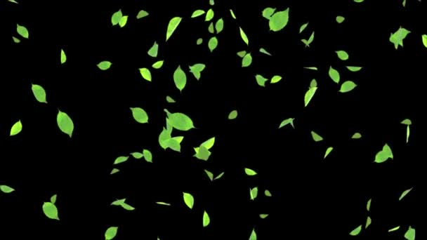 Schöne Blätter fallen nach unten Bewegung Grafik Zeitlupe Realistische 3D 4K Alpha-Kanal-Schleife Animation. — Stockvideo