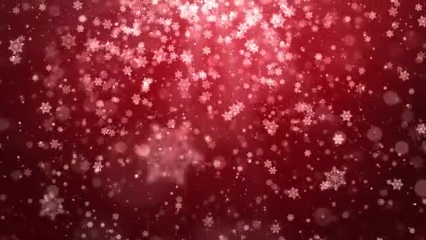 Bokeh light Red Loop background. Holiday glowing backdrop. — Stock Video