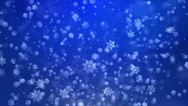 Beautiful glowing blinking bokeh and snowfall star colorful particles loop background — Stock Video