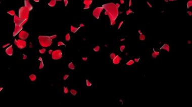 Soyut Arkaplan Uçan Kırmızı Gül Yaprakları Gerçekçi 3D Animasyon Yeşil Ekran Döngüsü.