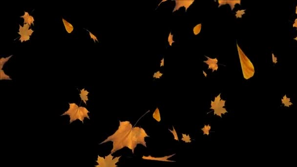 Spadające jesienne liście klonu Jesień Realistic.3D 4K pętla Animacja Alpha kanał. — Wideo stockowe