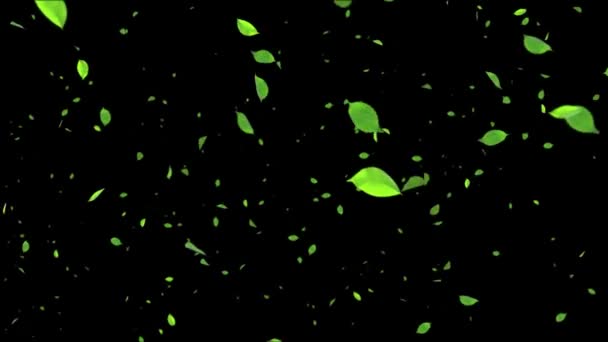 Природа зелений вид зеленої листя зелені літо петля фон Анімація Альфа канал . — стокове відео