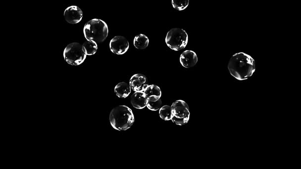 Burbujas de jabón aisladas sobre fondo negro, bucle sin costura 4k 3d render animación pantalla verde. — Vídeos de Stock