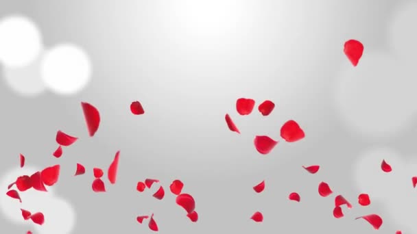 Pétalos de flores cayendo, color rosa, pétalos de rosa, fondo de animación de pantalla verde. — Vídeos de Stock