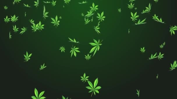 4K hierba cannabis drogas hojas lluvia caída lazo animación verde pantalla. — Vídeos de Stock