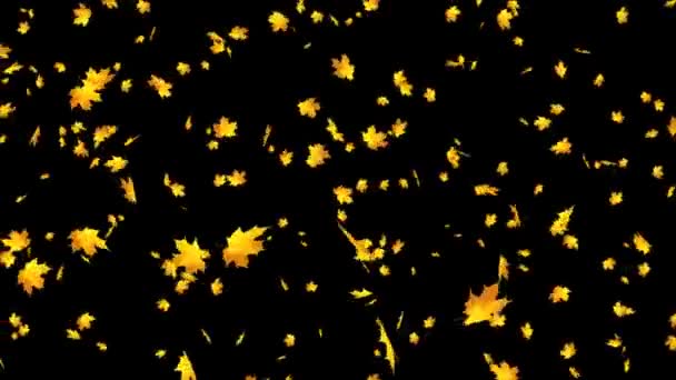 Jesienne liście klonu Spadająca pętla do nakładania pętli tło Alpha. — Wideo stockowe
