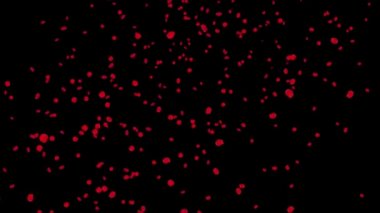 Düşen kırmızı gül yapraklarıyla yıldönümü döngüsü 3B Yeşil Ekran Canlandırması.