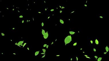 4K Soyut Yavaş Hareket Düşen Gerçekçi 3D Alfa kanal Animasyonu Bırakıyor.