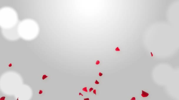 落下する赤いバラの花びらを持つ記念日ループの背景3Dグリーンスクリーンループアニメーション. — ストック動画