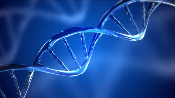 Ψηφιακό DNA γονιδίωμα διπλής έλικας Loop animation 4k 3D φόντο. — Αρχείο Βίντεο
