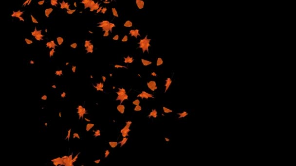 Yaprak rüzgarla canlanır. Sonbahar akçaağaç, yapraklar düşen döngü 4k Alfa kanal animasyonu. — Stok video