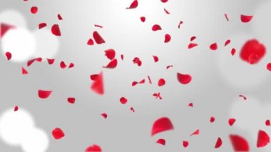 Düşen Kırmızı Gül taç yaprakları yeşil Ekran Canlandırması ile Sevgililer Günü döngüsü arkaplanı.