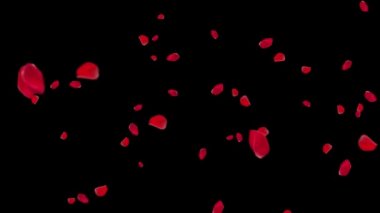 Yeşil Ekran Düşen Yapraklar romantik, sevgililer günü kartı, 4k döngü Arkaplanı. Yeşil Ekran.