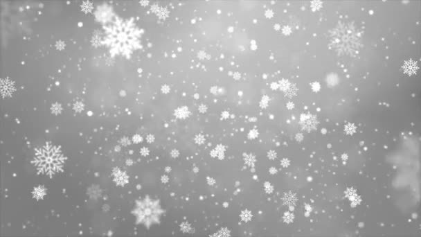 White Snow and Lights Festive Loop background with light beams — Stock Video