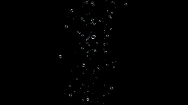 Water Bubbles are filled with carbon dioxide and float upwards. — Stock Video