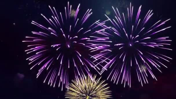 Fuegos artificiales reales 4k en el lazo de fondo negro Sky on Futuristic Fireworks Festival show — Vídeos de Stock