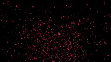 Sakura yaprakları dökülüyor. Romantik Pembe Çiçekler Düşen Yağmur Döngüsü Yeşil Ekran.