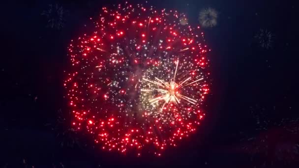 Kleurrijk vuurwerk dat explodeert in Night Sky Loop Animatie Achtergrond. Feestdag. — Stockvideo