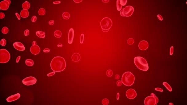 Bir kan damarında dolaşan kırmızı kan hücreleri Animasyon Geçmişi 4K 3D. — Stok video