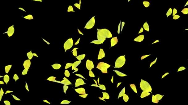 Abstrakt Fresh Green Baby Spinach Leaves Falling in Slow Motion Loop Animation Alpha Channel. — Stock video