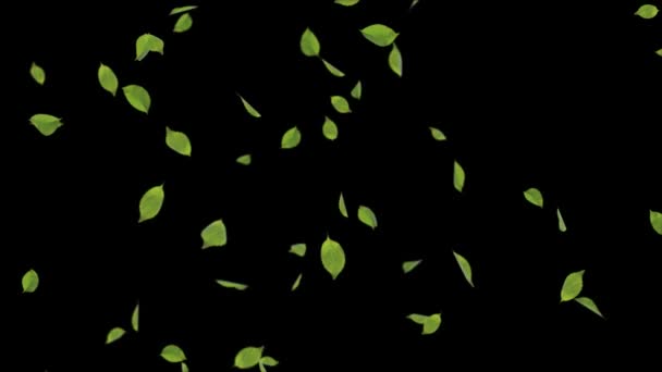 Feuilles Vert Tomber avec Feuilles d'Automne Réaliste 3D 4K Alpha Channel boucle Animation Arrière-plan. — Video