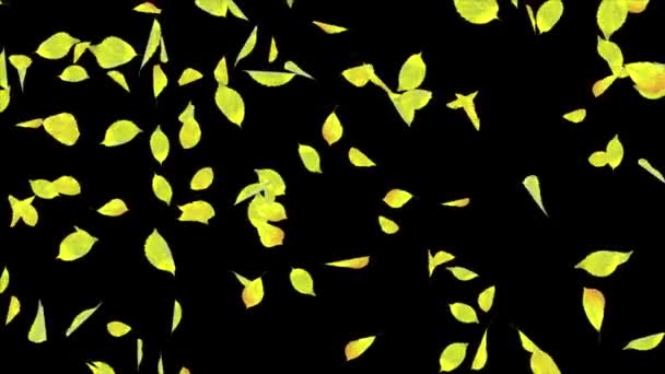 3D 4K Анимация листьев мяты Падающий поток движения Петля Анимация кусочки мусора, Весна зеленая — стоковое видео