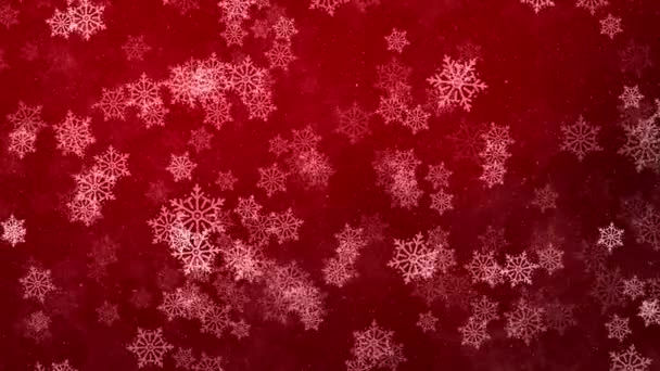 Christmas Loop background winter snowflakes falling slowly down a Red , festive gradient Animation — Stock Video